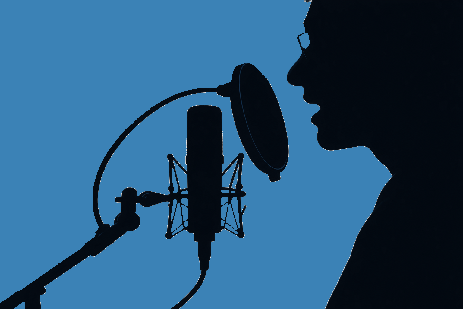 Voice Follow